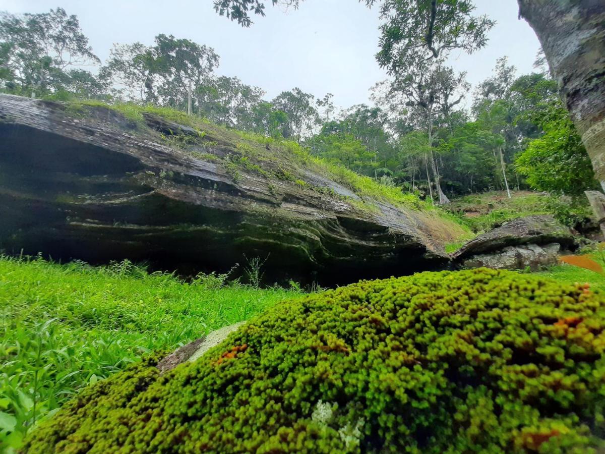 Chalé 1 Morada da pedra Praia Grande (Santa Catarina) Exterior foto